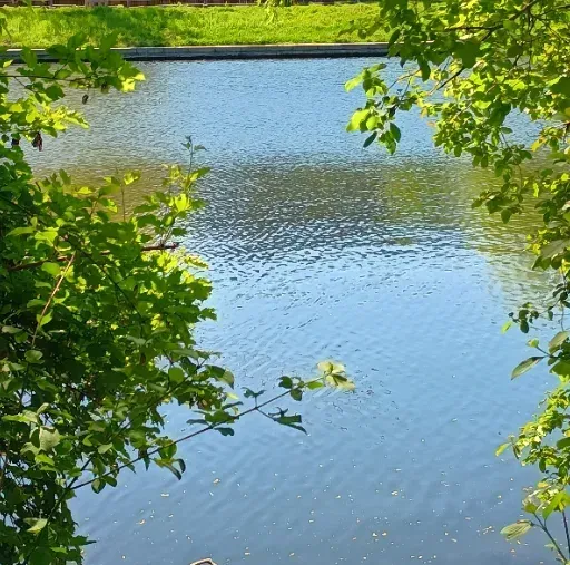 Die Spree und 4 Räder